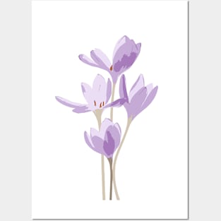 Spring flowers Posters and Art